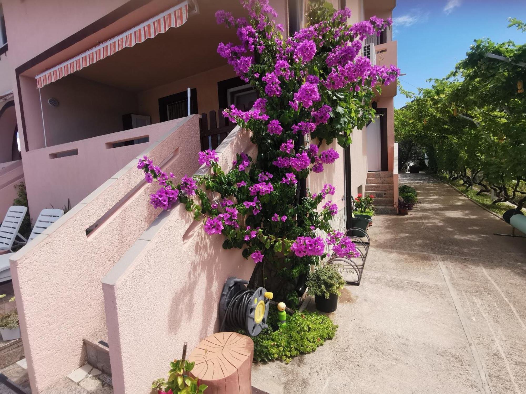 Apartman Franolic ปูนัต ภายนอก รูปภาพ